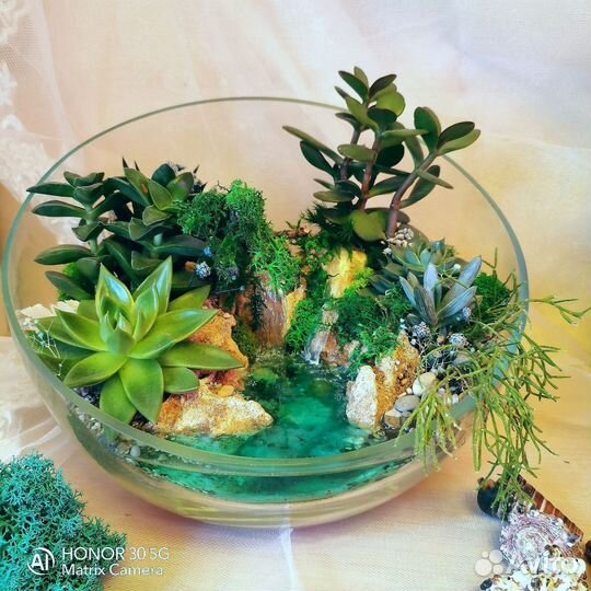 Флорариумы