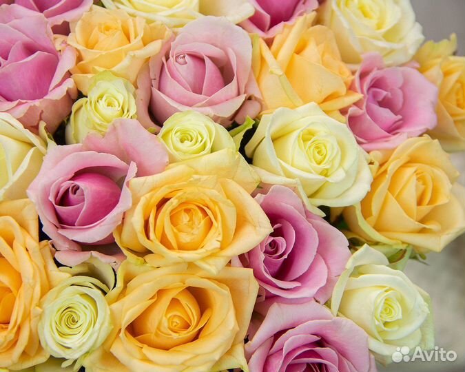 Букет из 51 розы 50-60 см (Россия)