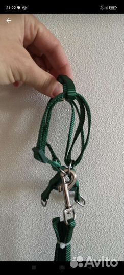 Шлейка для крупных попугаев