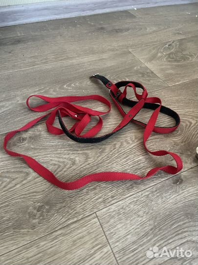 Шлейка для кошек и маленьких собачек