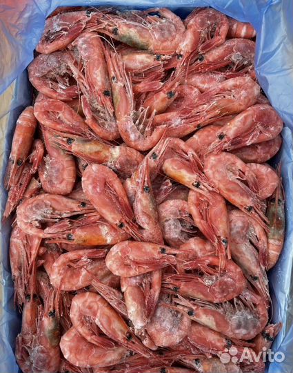 Креветка северная вкусная