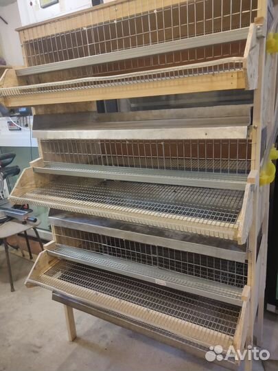 Клетки для перепелов