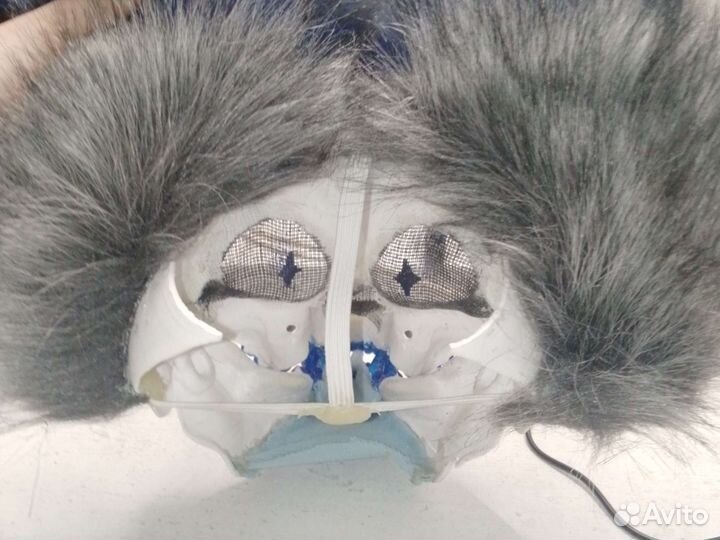 Фурсьют скалл дог