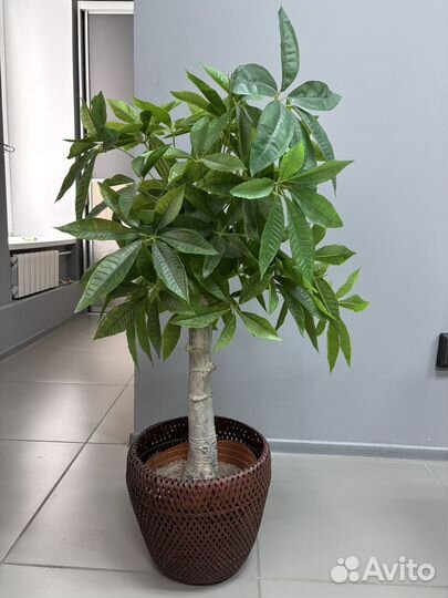 Искусственный каштан