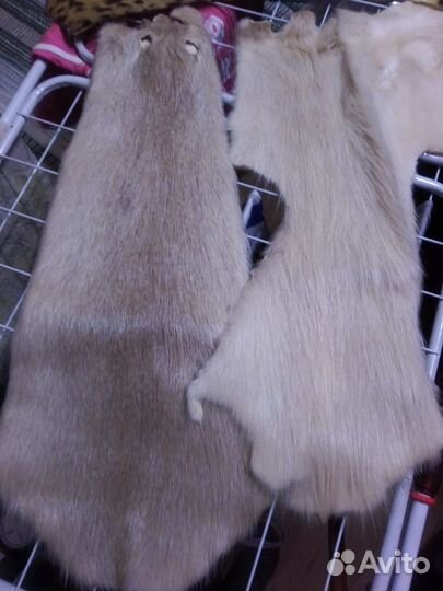 Шкурки нутрии