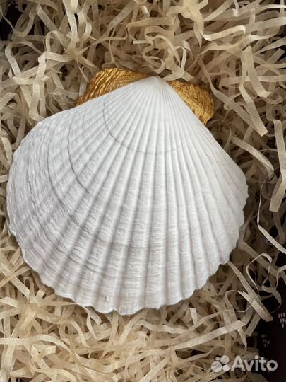 Подставка для украшений. Ракушка гребешка