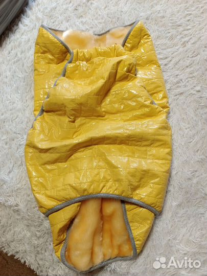 Комбентзон для собак