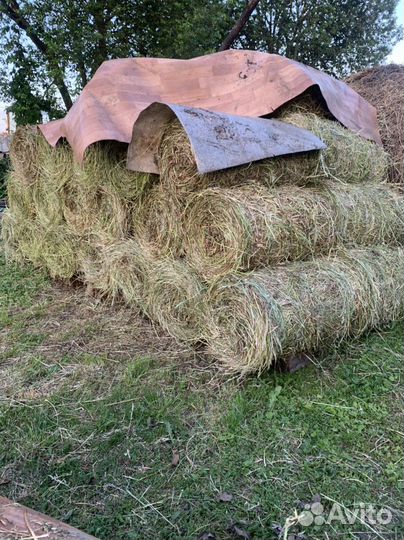 Сено в тюках