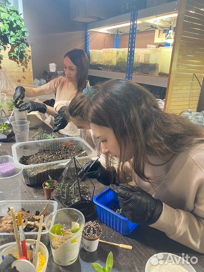 Мастер-класс «Флорариум»