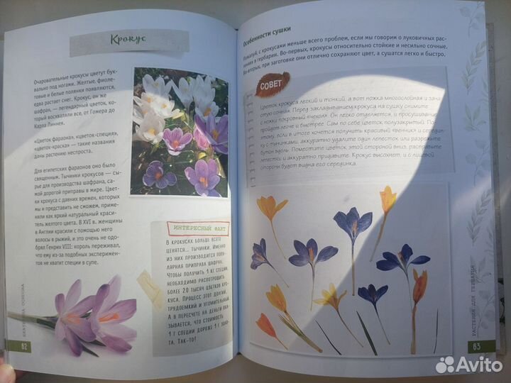 Книга гербарий для души изд. Бомбора