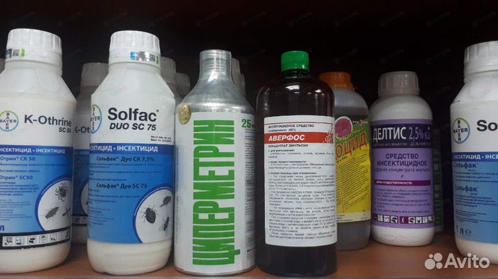 Дезинфекция. Травля тараканов, клопов. Качество