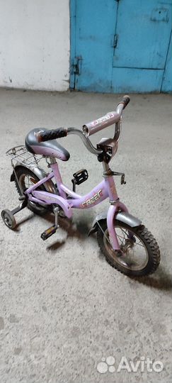 Велосипед детский с колёсиками Racer dolphin 120