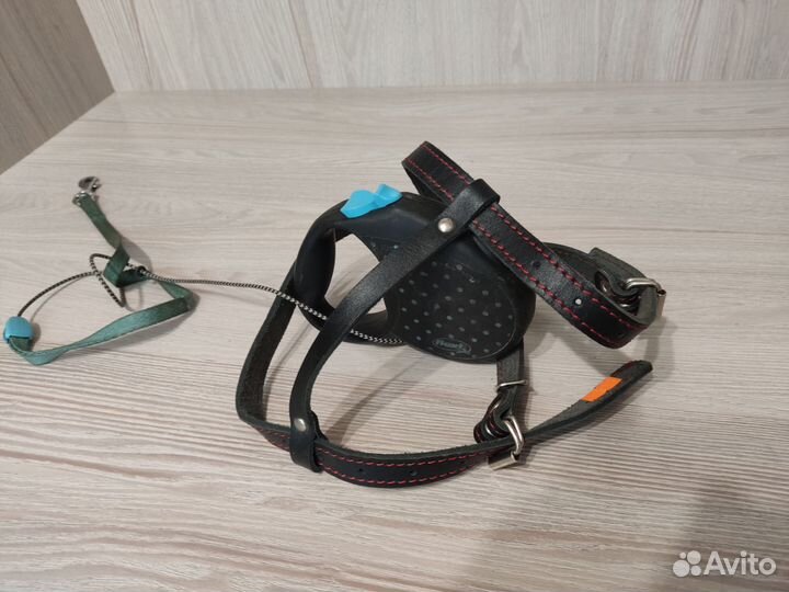 Шлейка для собаки