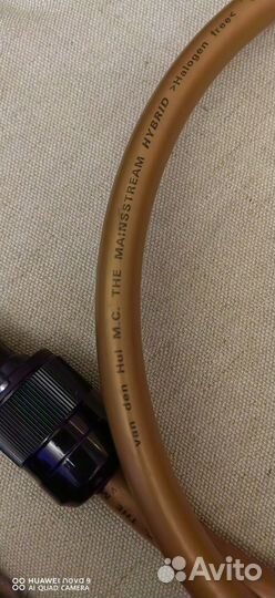 Van Den Hul M.C. The Mainstream Hybrid