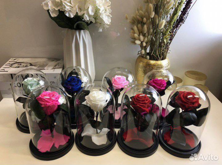 Роза в колбе Красная / Доставка до Вас