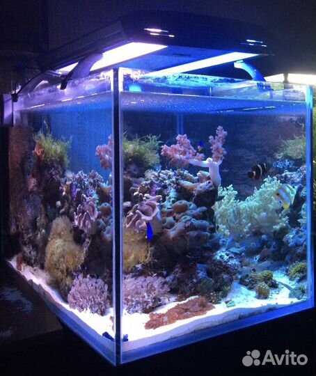 Аквариум 225 литров optiwhite