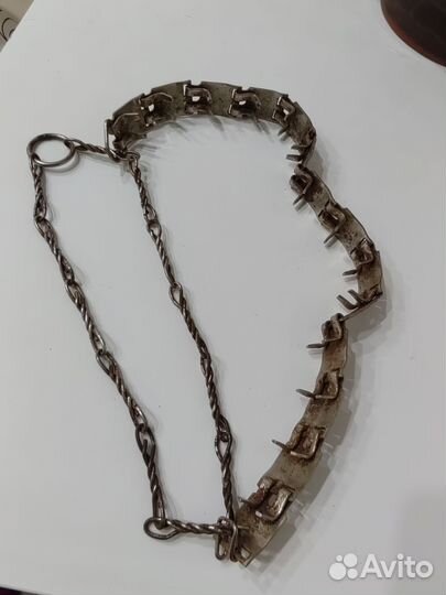 Строгий ошейник для собак