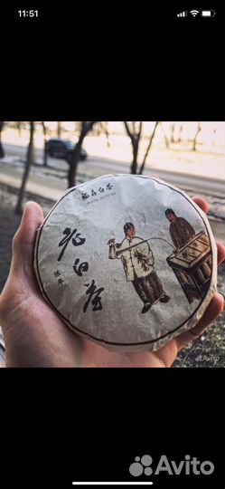 Шу Пуэр,Смола Пуэра,Габа,Тгшка