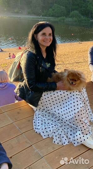 Экскурсовод по Санкт - Петербургу и пригородам