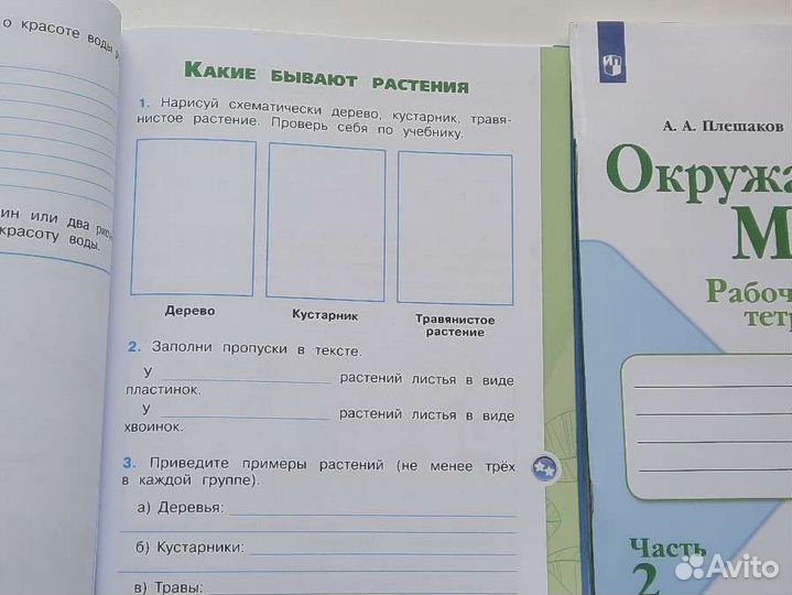 Рабочие тетради по окружающему миру 2 класс