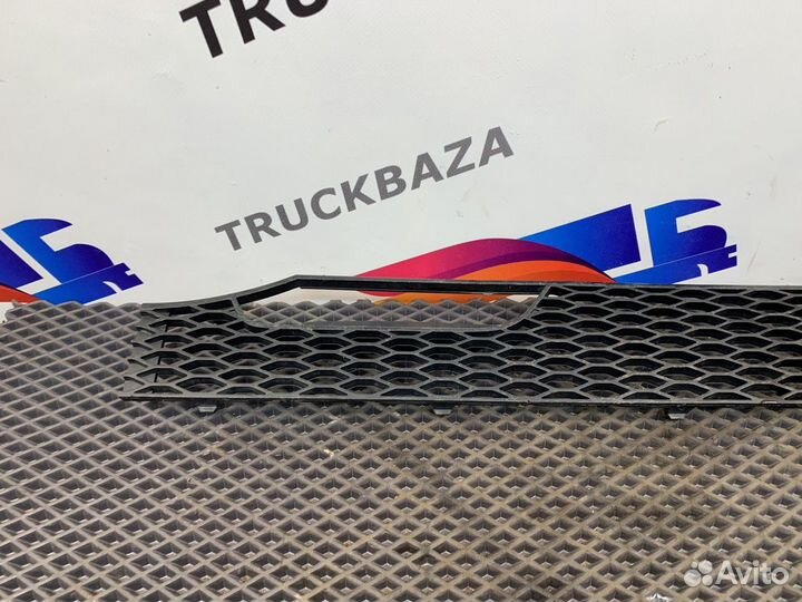 Сетка решетки радиатора правая