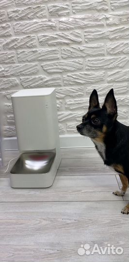 Xiaomi кормушка для животных Автоматическая умная