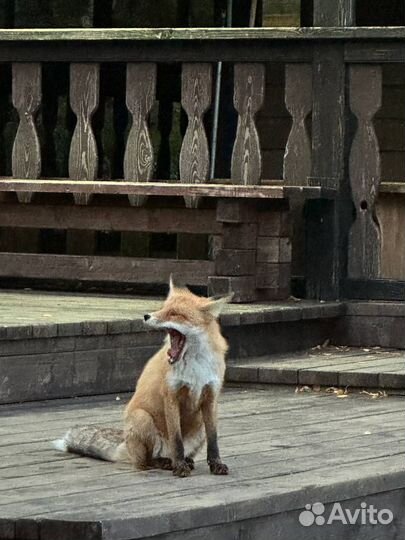 Туры по Уралу - Осеннее вдохновение