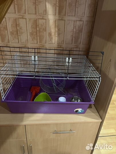 Клетка для грызунов бу