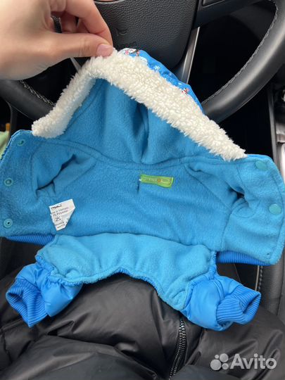 Одежда для собак