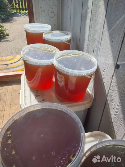 Мед алтайский