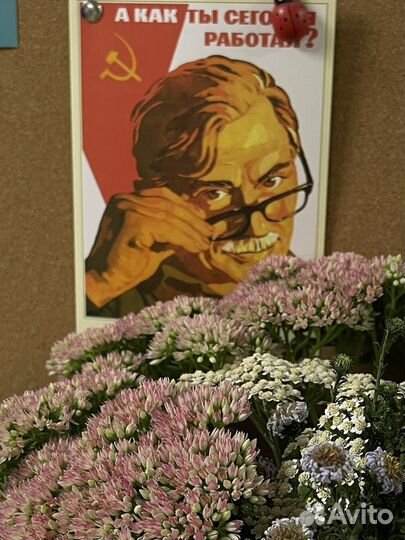 Уюлозица зала