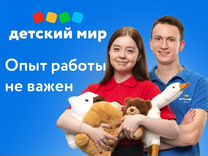 Продавец-кассир в Детский Мир