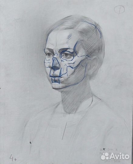 Курс конструктивный рисунок головы