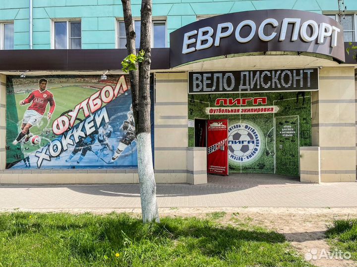 Художественная гимнастика