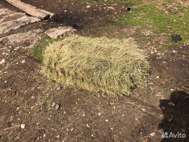 Продам сено в тюках