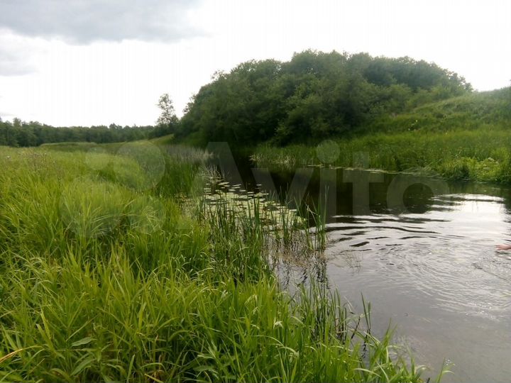 Участок 50 га (СНТ, ДНП)