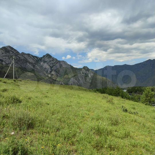 Участок 50 сот. (СНТ, ДНП)