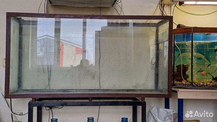 Аквариум