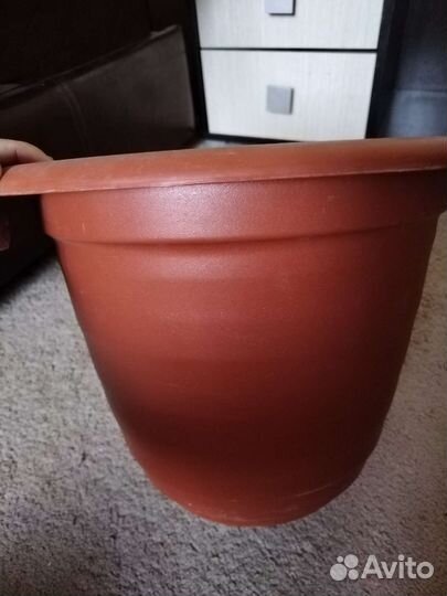Горшки для цветов. 200 за все