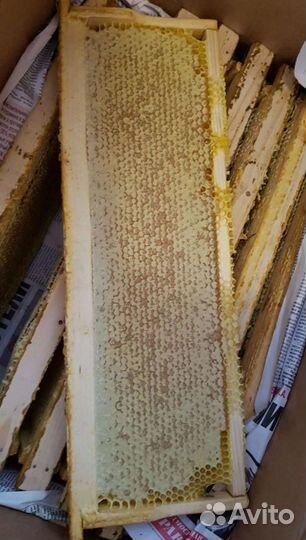 Мед в сотах и Майский Мёд,Разнотравье Мед