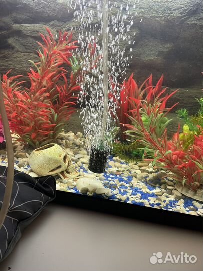 Аквариум 70 литров