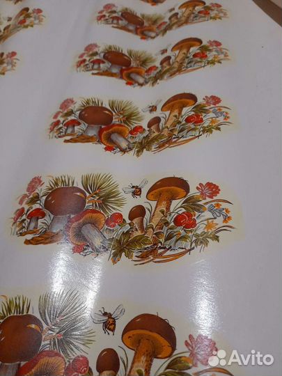 Переводки СССР