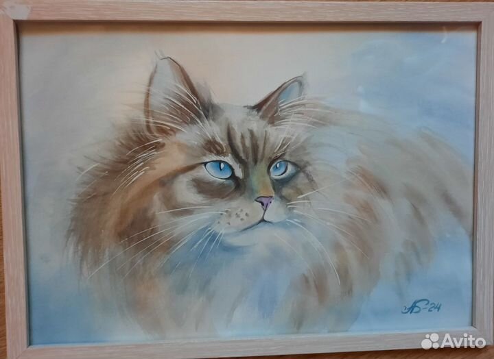 Картинки котики