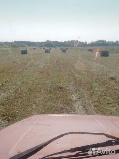 Продается сена