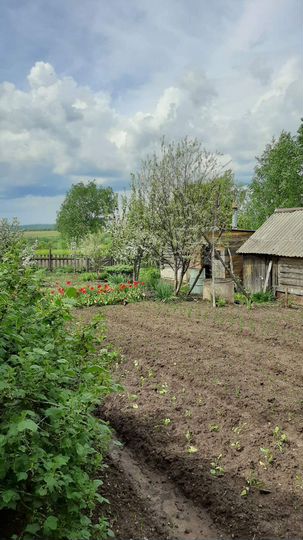 Дом 59 м² на участке 30,7 сот.