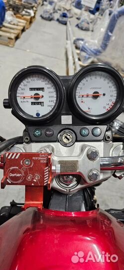 Honda hornet