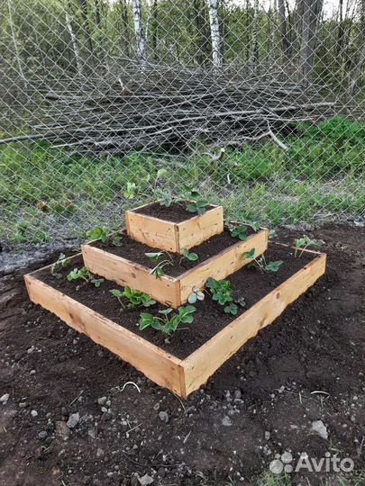 Клумбы разные