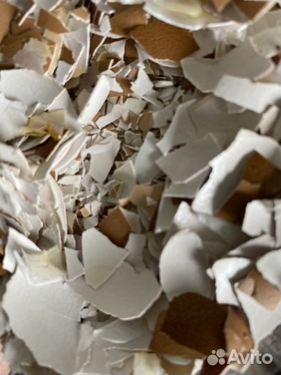 Удобрение Скорлупа яиц