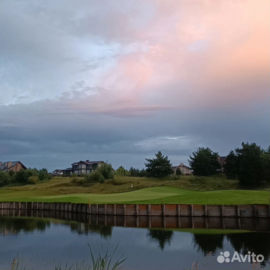 Прогулки в Завидово