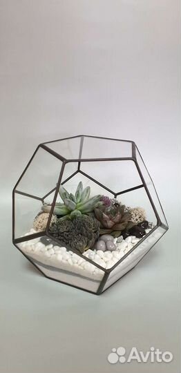 Флорариум. Подарок на день рождения, педагогу